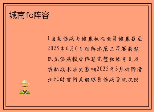 城南fc阵容